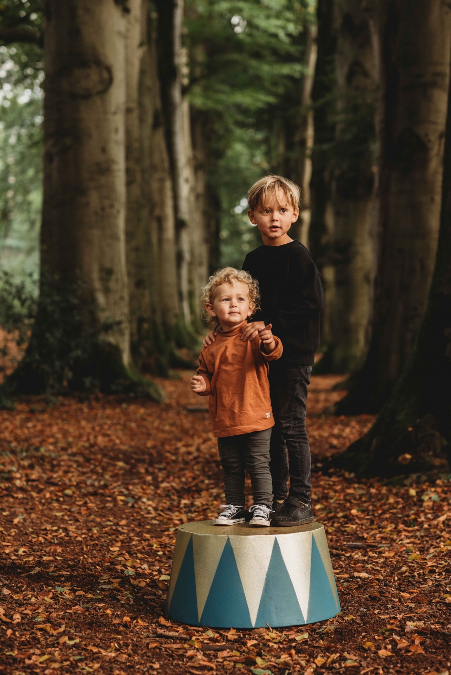 FIH Fotografie » Magische bos shoot